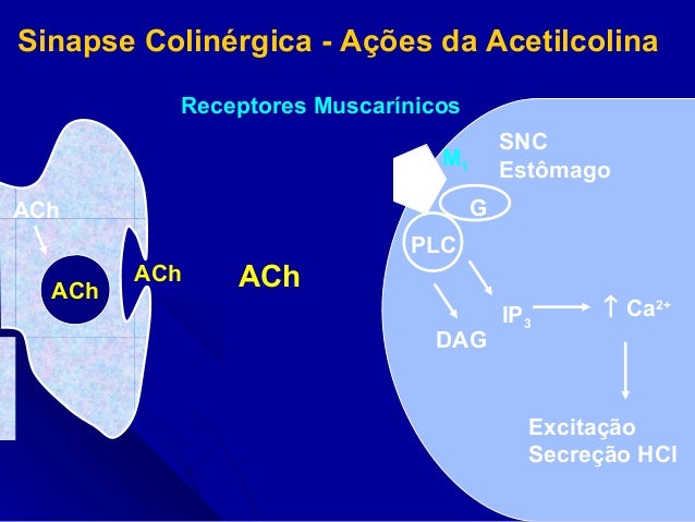 COLINERGICA SCARICA